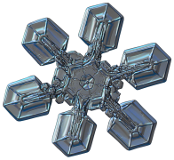 સ્નોવફ્લેક 30 સૂચિ